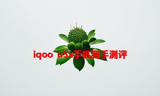 iQOO U5x手机到手测评